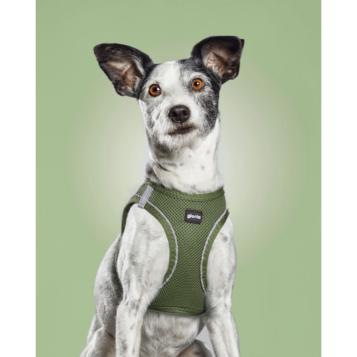 Dog Harness Gloria 41,4-43 cm Green S 29,4-32,6 cm-2