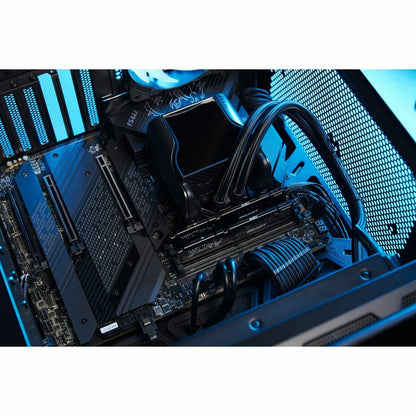 RAM Memory Kingston Beast 64 GB DDR5 SDRAM DDR5 5600 MHz