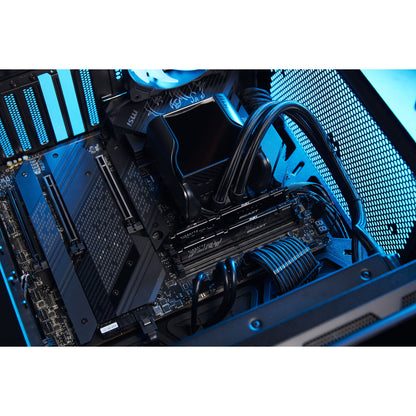 RAM Memory Kingston KF568C34BB-16 16 GB DDR5 cl34
