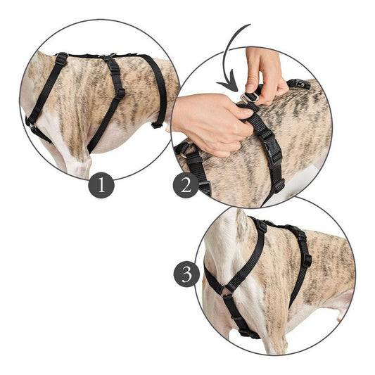 Dog Harness Hunter 48-70 cm Black S/M-0