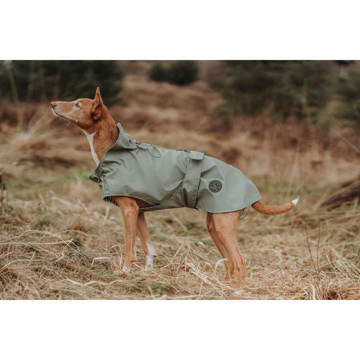 Dog Coat Hunter Milford Green 50 cm-3