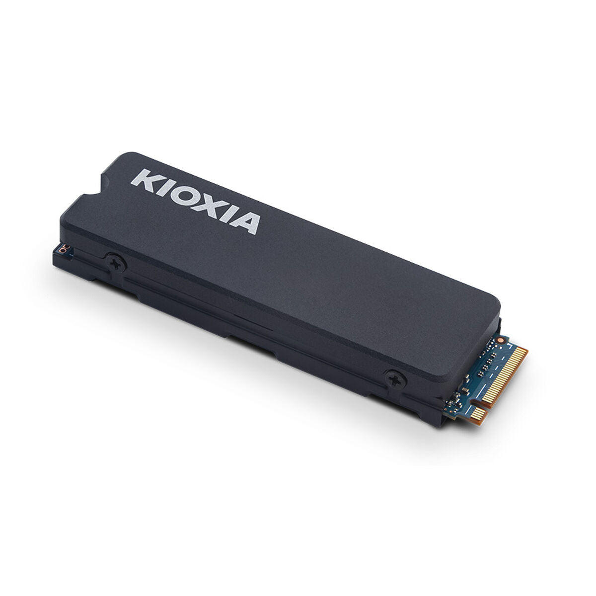 Hard Drive Kioxia Exceria Plus G3 1 TB SSD