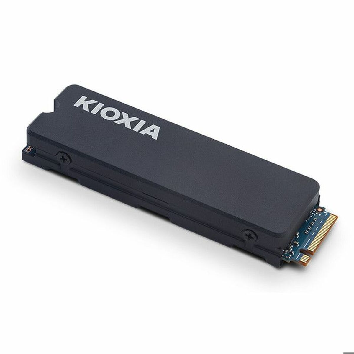 Hard Drive Kioxia Exceria Plus G3 1 TB SSD