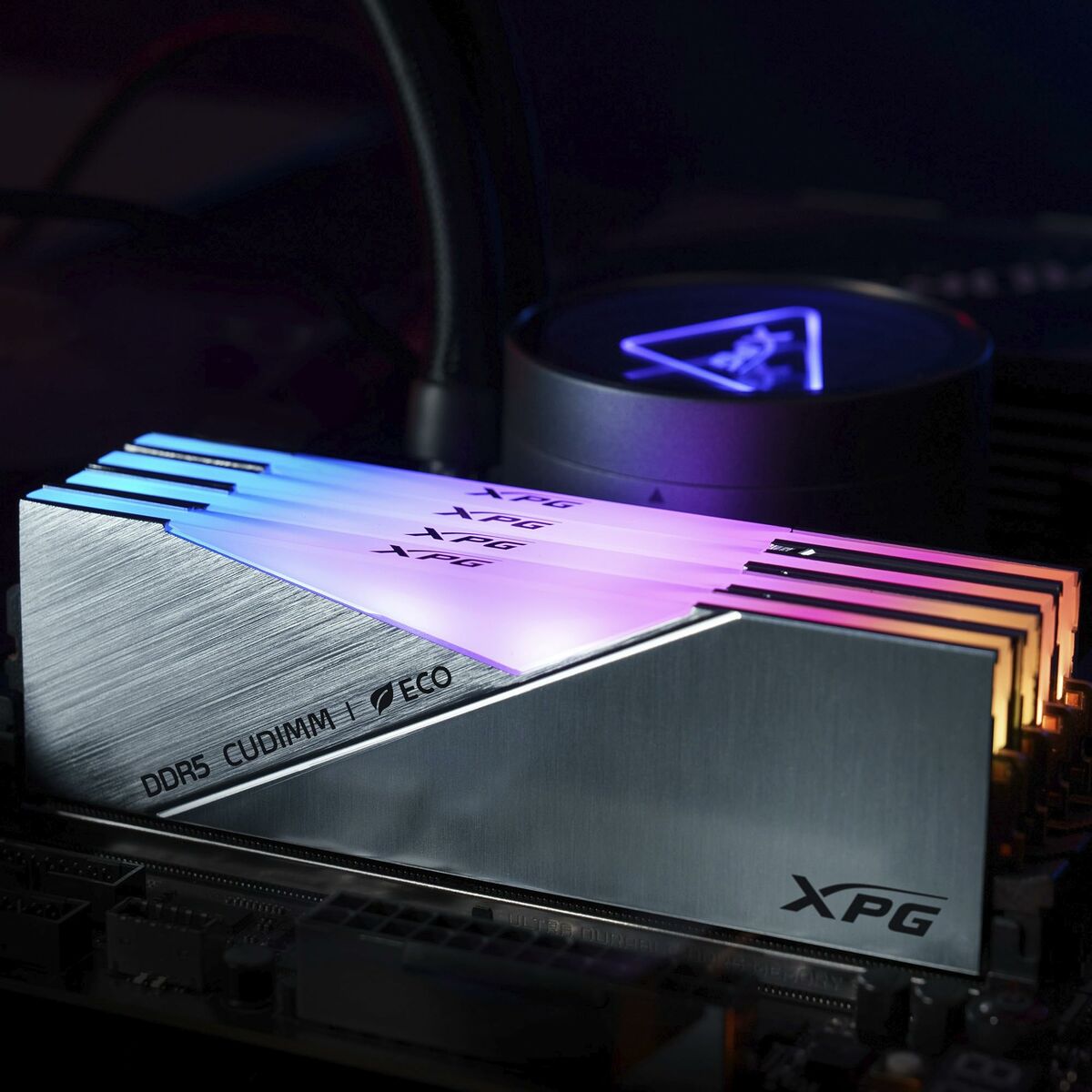 RAM Memory Adata AX5CU8400C4024G-DCLACRSG 24 GB DDR5 CL40