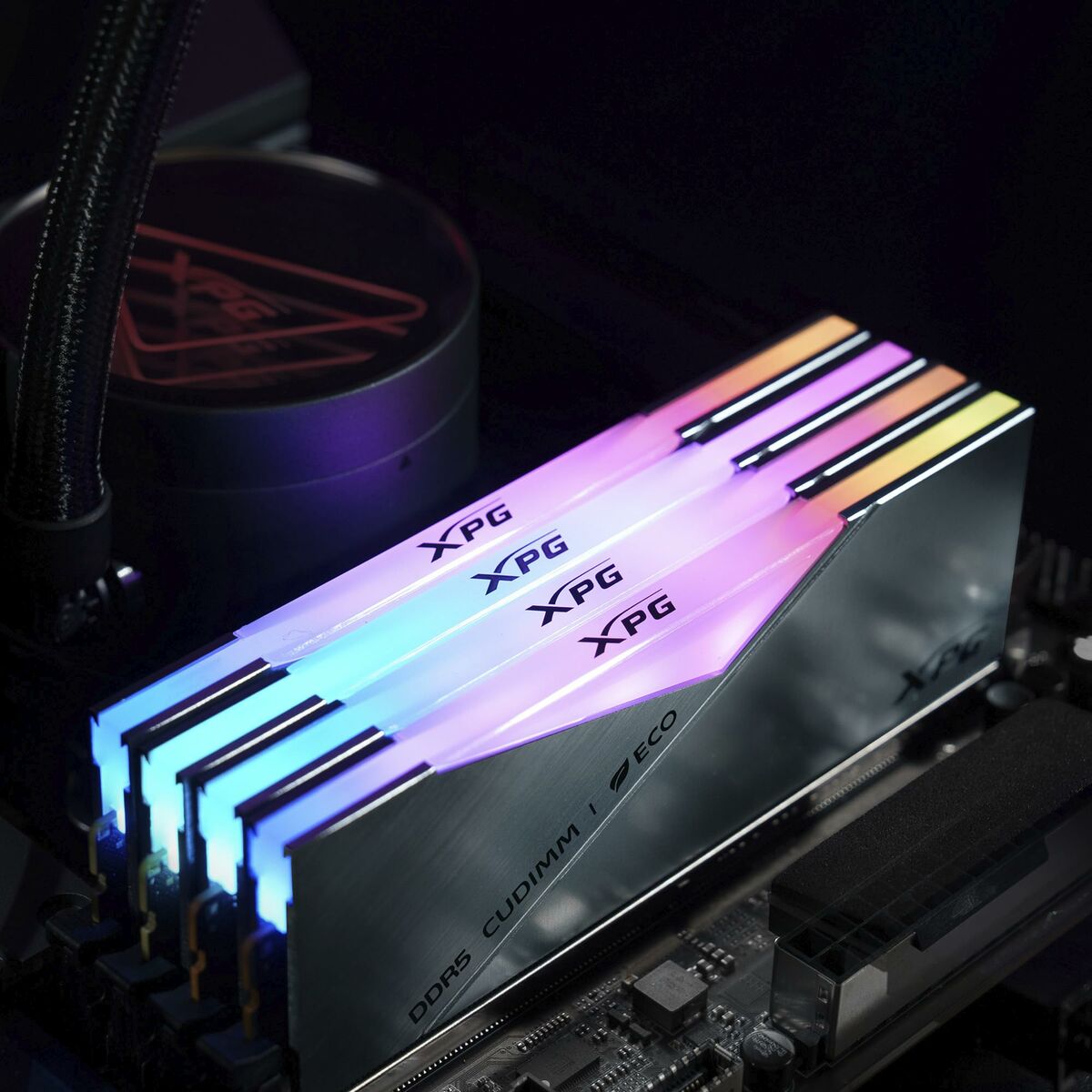 RAM Memory Adata AX5CU8400C4024G-DCLACRSG 24 GB DDR5 CL40