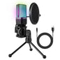 Microphone Woxter WE26-028