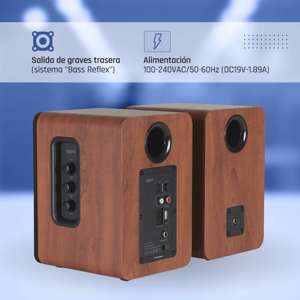 PC Speakers iggual IGG319963 50 W