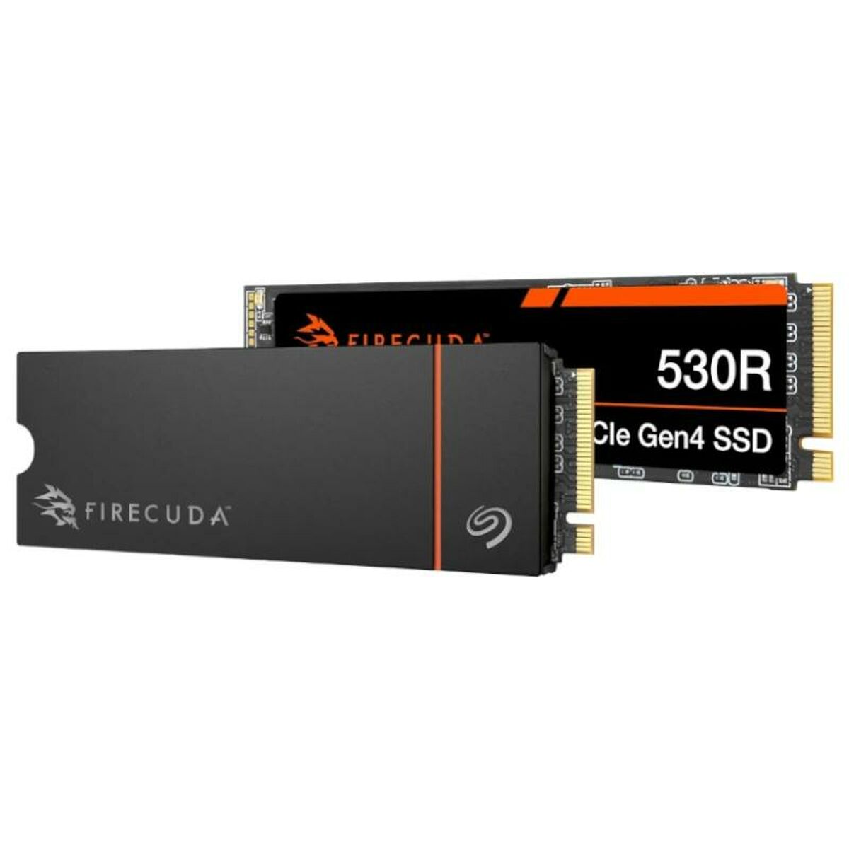 Hard Drive Seagate ZP1000GM3A073 1 TB SSD