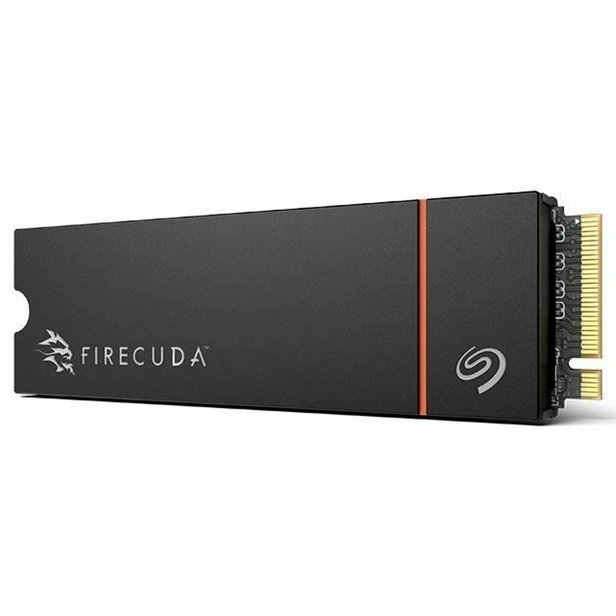 Hard Drive Seagate ZP1000GM3A073 1 TB SSD