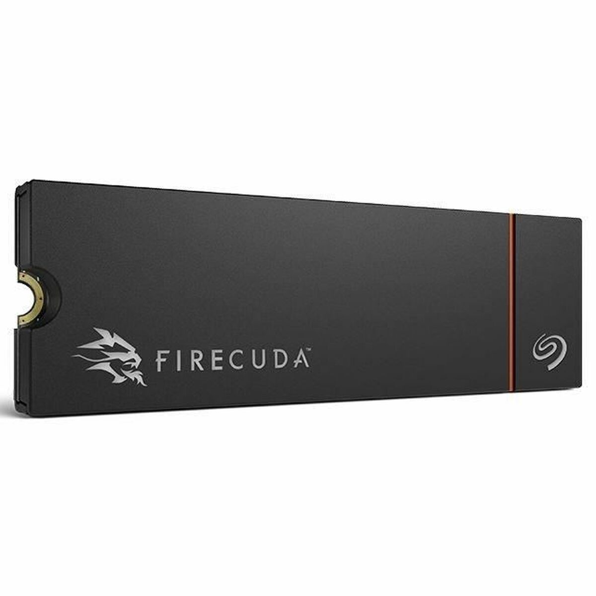 Hard Drive Seagate ZP1000GM3A073 1 TB SSD